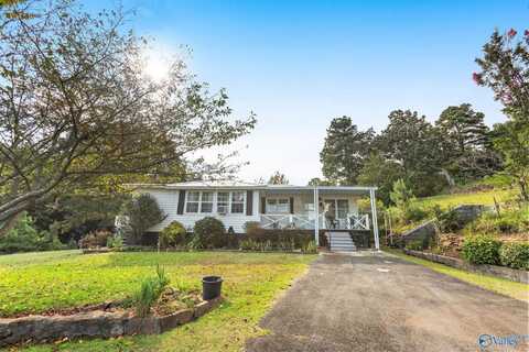 11780 US Hwy 278, Altoona, AL 35954