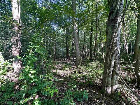 tbd Walnut Hill Road, Morgantown, WV 26501