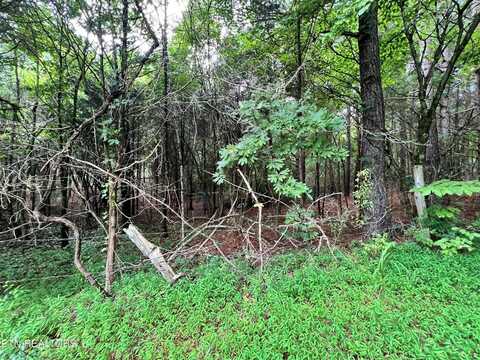 Lot 7 Willie Prigmore Rd, Decatur, TN 37322