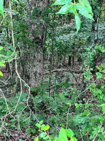 Lot 11 Willie Prigmore Rd, Decatur, TN 37322