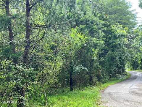Lot 3 Prigmore Ridge Rd, Decatur, TN 37322