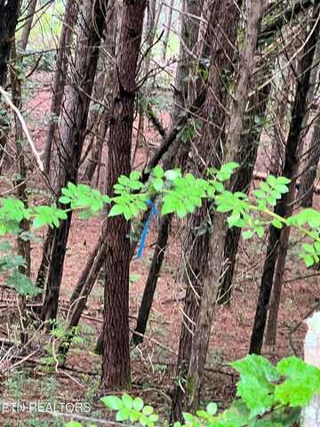 Lot 5 Willie Promore Rd, Decatur, TN 37322
