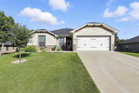 2810 Catfish Court, Granbury, TX 76048