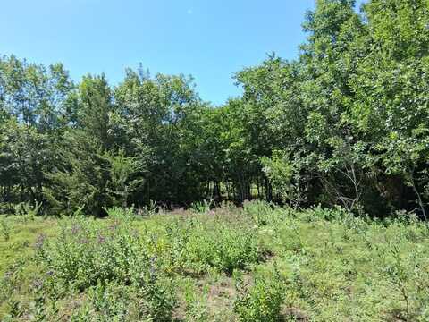 241 Texas Drive, Palmer, TX 75152