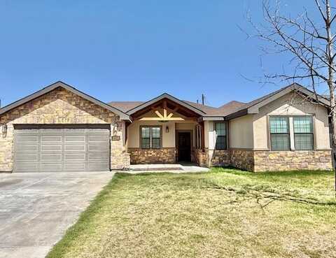 1510 S Mimosa St, Pecos, TX 79772