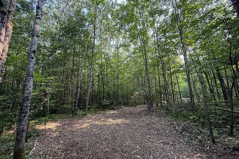 6 Poradish Road, Couderay, WI 54835