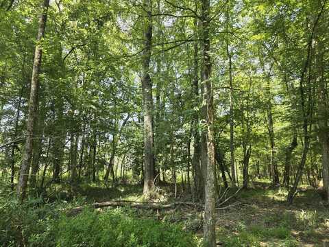 000 Gardner Road, Grady, AL 36036