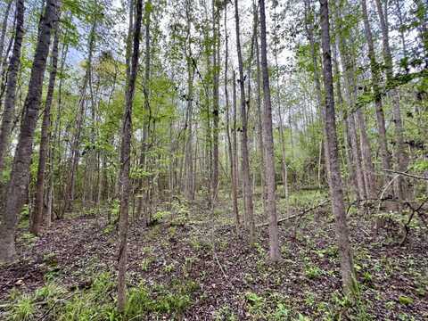0 County Road 6, Sweet Water, AL 36782