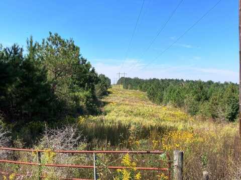 2272 Purvis Baxterville Road, Lumberton, MS 39455