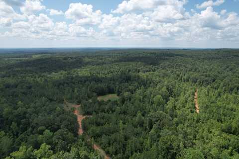 0 County Road 518, Roanoke, AL 36323