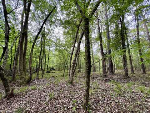 0 County Road 6, Sweet Water, AL 36782