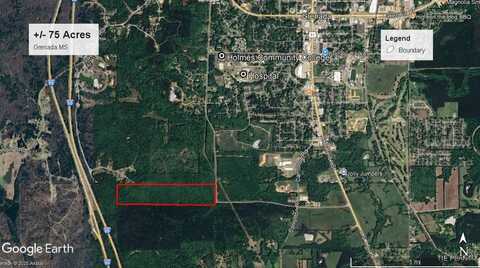 000 Wooded Drive, Grenada, MS 38901