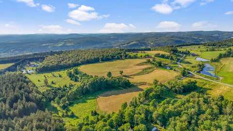 153 Stone Ridge Dr., Charlotteville, NY 12036
