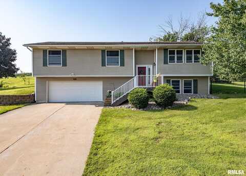 21 WESTERN OAKS Drive, Orion, IL 61273