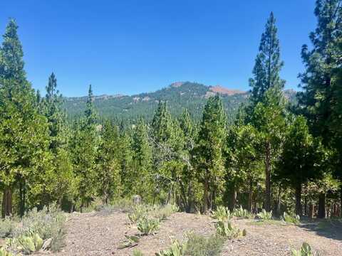 1924 Grizzly Ranch Road, Portola, CA 96122