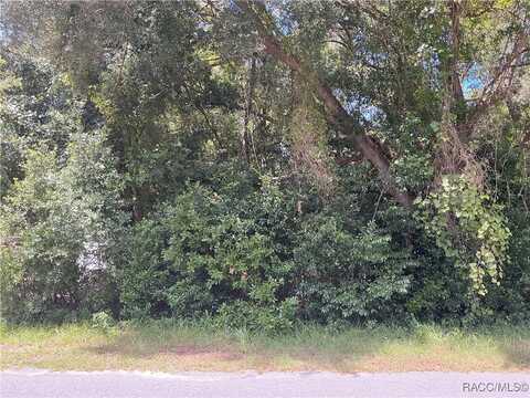 3953 E Sanders Street, Inverness, FL 34453