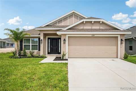 12518 Pine Bluff Street, Spring Hill, FL 34609
