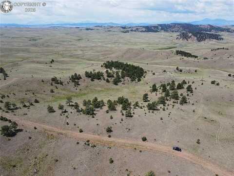 Lot 26 Wolfe Road, Hartsel, CO 80449