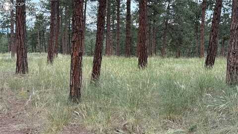 Lot 43 S Ben Eaton Lane, Westcliffe, CO 81252