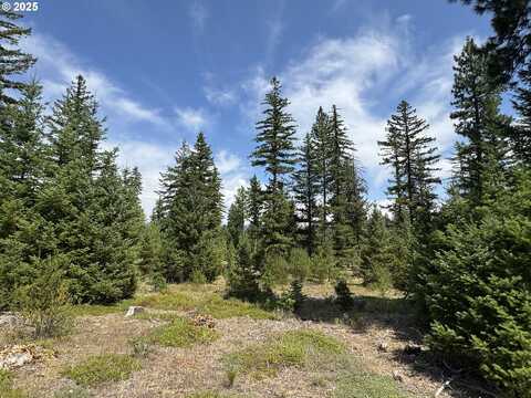 00 Ranger RD, Goldendale, WA 98620