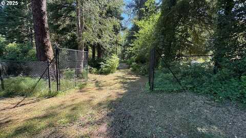 Lot 5 N Doris LN, Otis, OR 97368