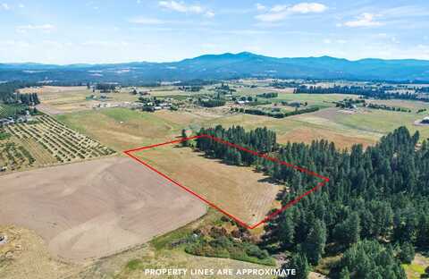 E Greenbluff Rd, Colbert, WA 99005