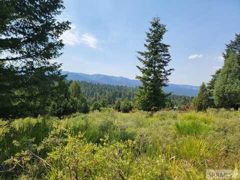 L61 B4 Cutthroat Run, Irwin, ID 83428