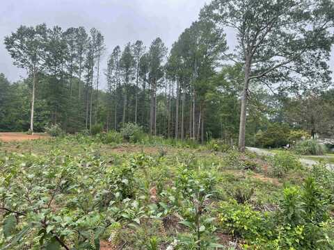 114 BLUE COAT Road, Chesnee, SC 29323