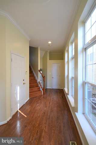 4202 SONIA COURT, ALEXANDRIA, VA 22309