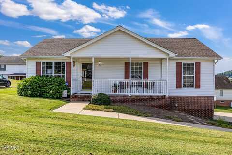 313 Blevins Boulevard, Bristol, VA 24202