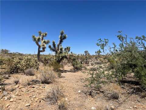 319-13-351 LAKESIDE Drive, Dolan Springs, AZ 86441