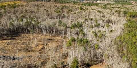 CO RD 69, Guin, AL 35563