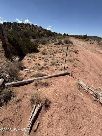 438c YAQUI DRIVE, Snowflake, AZ 85937