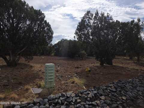 1920 Passage Drive, Show Low, AZ 85901