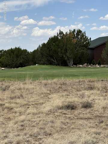 8384 Lake View Drive, Show Low, AZ 85901