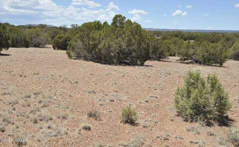9188 N & 5270, Concho, AZ 85924