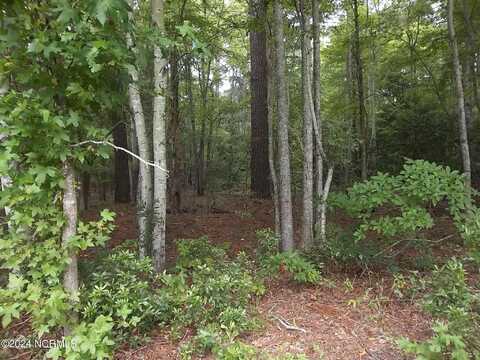 Tbd N River Landing Road, Grandy, NC 27939