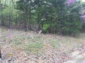 Wild Turkey DR, Holiday Island, AR 72631