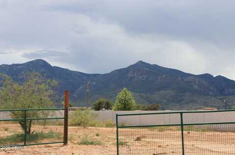 5779 S Burro Drive, Hereford, AZ 85615