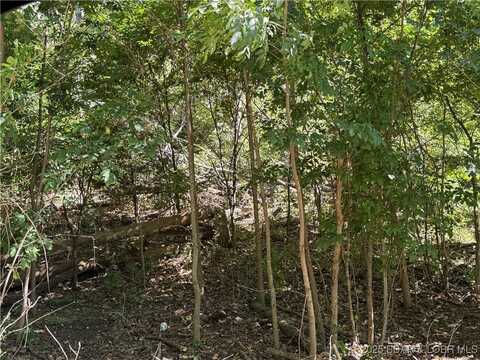 Tbd Lot #4 Skipper Lane, Camdenton, MO 65020