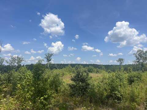 S Vinyard Road, Malvern, AR 72104