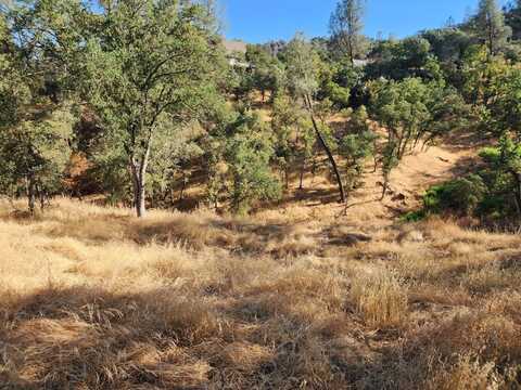 4383 Bonnett Court, Copperopolis, CA 95228