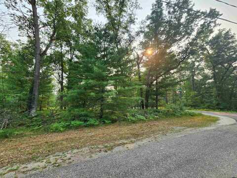 Lot 98 Wilderness, Alger, MI 48610