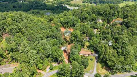 Terrace Forest Trail unit: 4, Horse Shoe, NC 28742