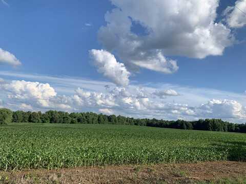 0 Steam Mill Ferry Road, Jackson, TN 38301