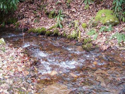 Tbd Wedgewood Cove, Sylva, NC 28779