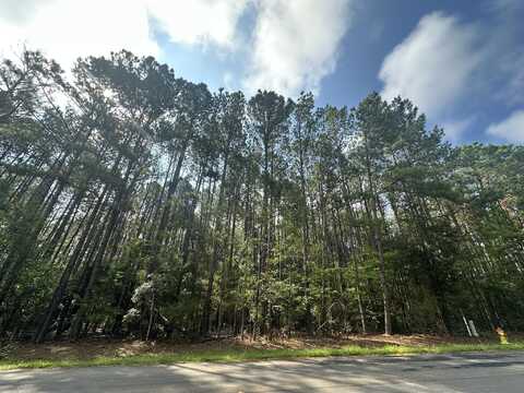 Lot 2 Dogwood Lane, Parksville, SC 29845