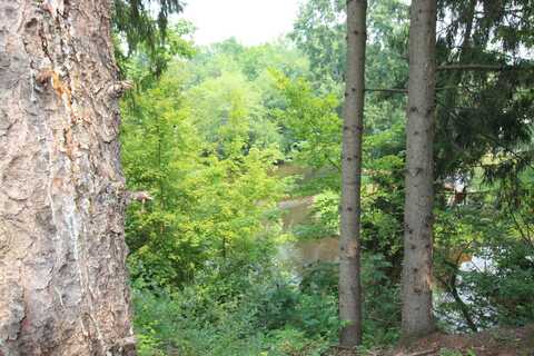 Garfield Road, Hesperia, MI 49421