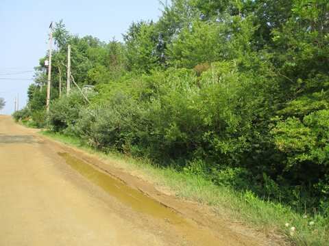 V/L Miami Avenue, South Haven, MI 49090