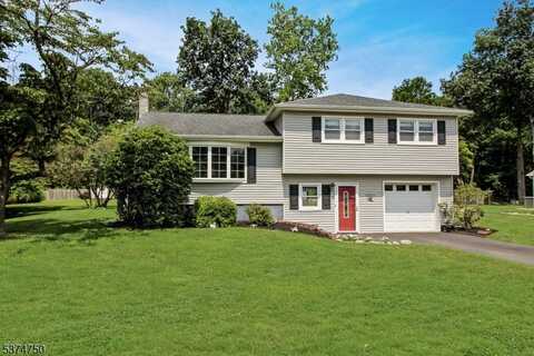 22 Indian Ln, Mount Olive Twp., NJ 07840